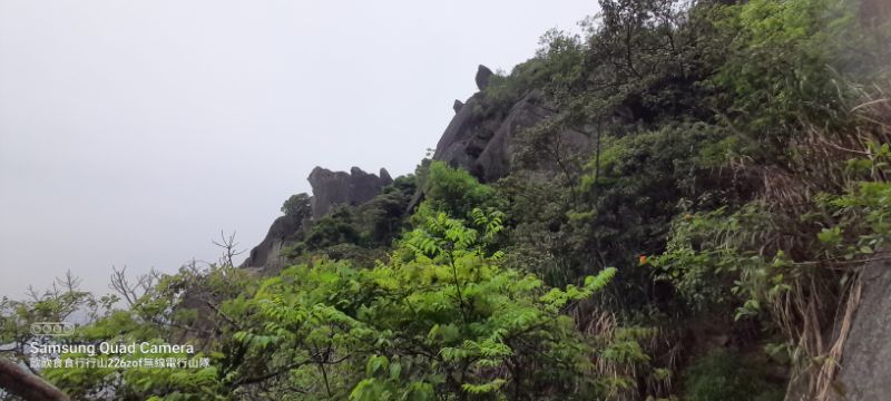IMG_20220421_9595.jpg