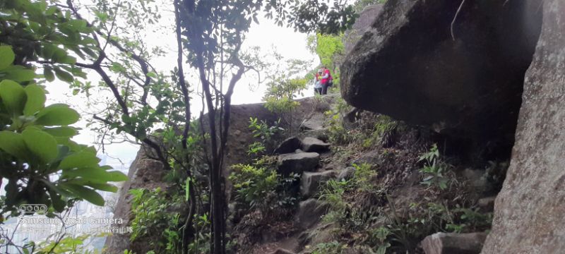 IMG_20220421_10530.jpg