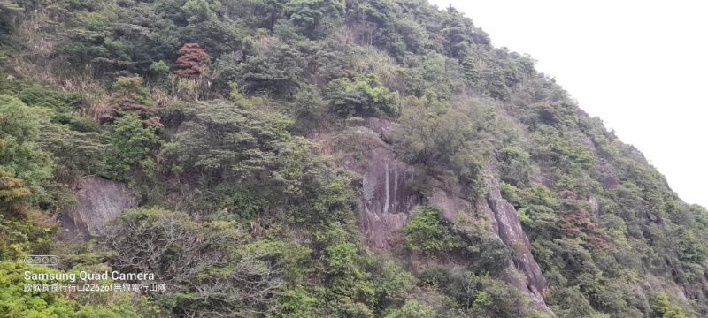 IMG_20220421_11872.jpg