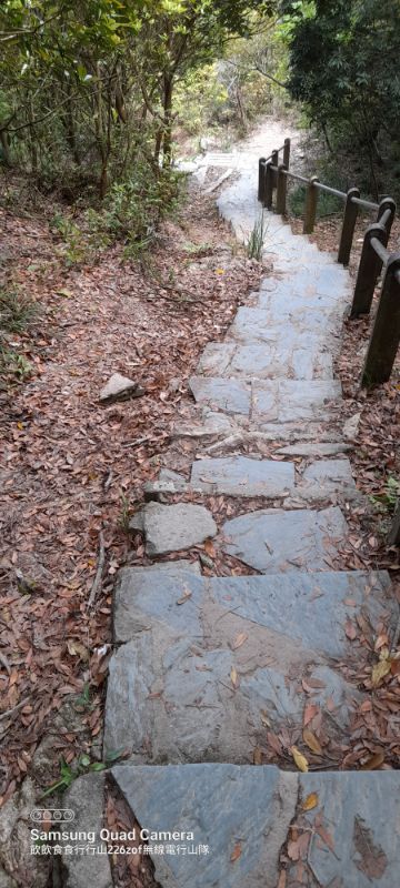 IMG_20220423_46169.jpg
