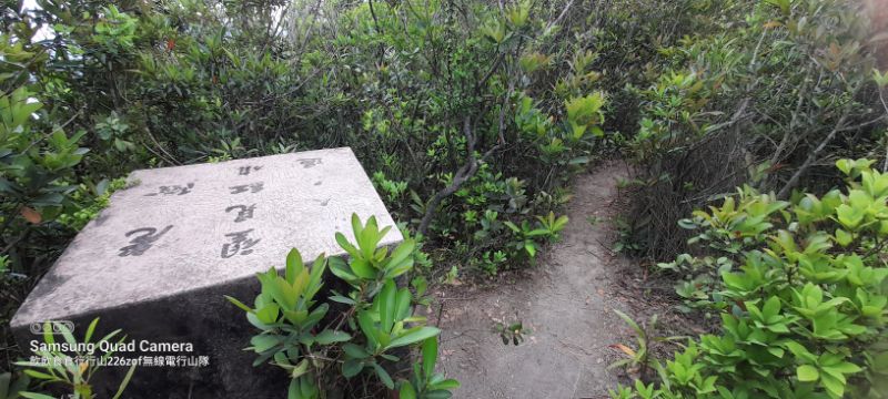 IMG_20220425_2555.jpg
