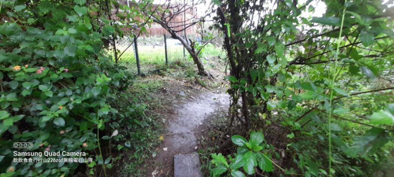 IMG_20220501_12986.jpg