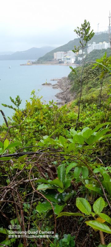 IMG_20220501_7357.jpg