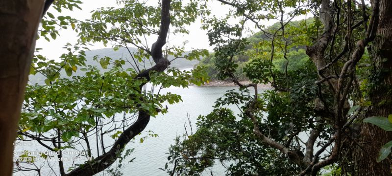 IMG_20220501_2112.jpg