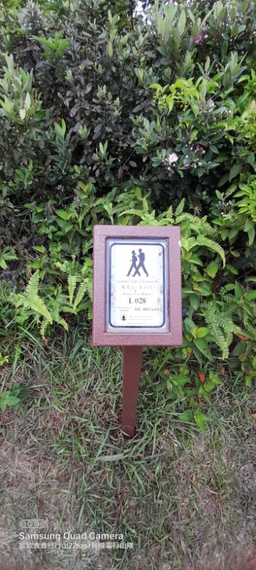 IMG_20220508_22128.jpg
