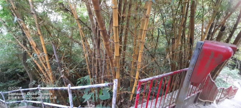 IMG_20220509_51186.jpg
