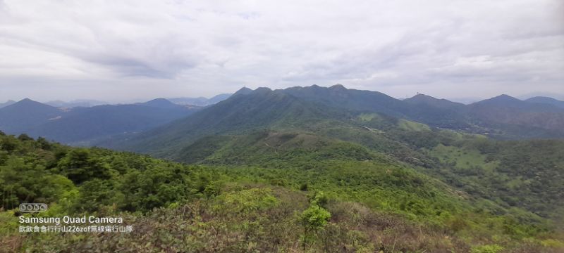 IMG_20220509_2190.jpg