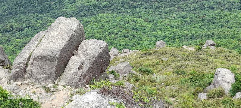 IMG_20220509_19386.jpg