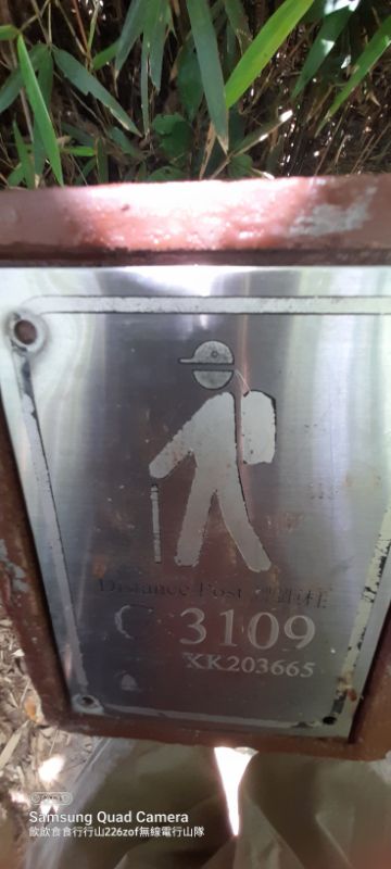 IMG_20220529_39184.jpg