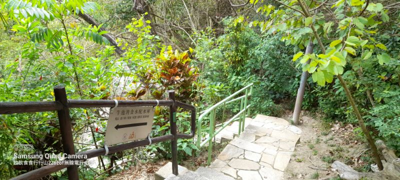 IMG_20220510_44661.jpg