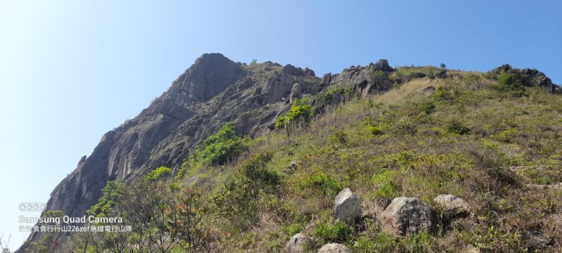 IMG_20220603_43766.jpg