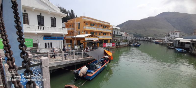 IMG_20220603_18778.jpg
