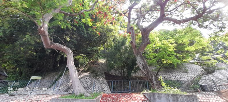IMG_20220603_17156.jpg