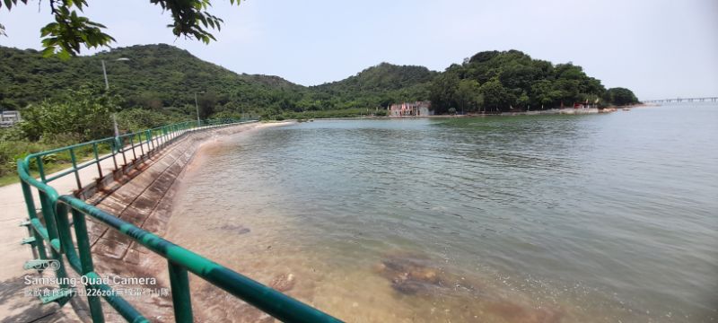IMG_20220603_4594.jpg
