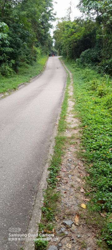 IMG_20220604_14906.jpg