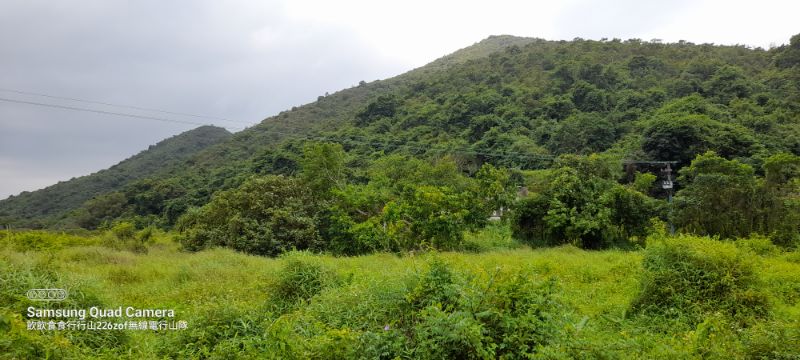 IMG_20220604_24935.jpg