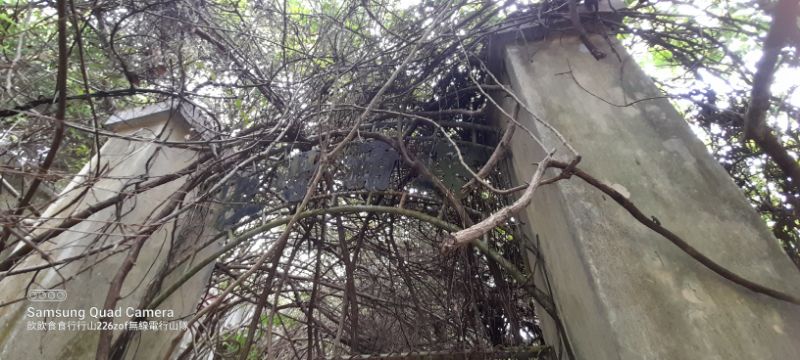 IMG_20220604_2815.jpg