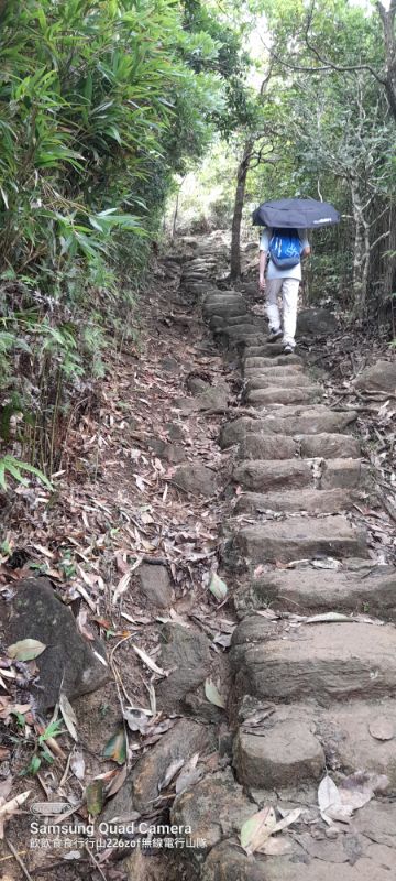 IMG_20220604_45243.jpg