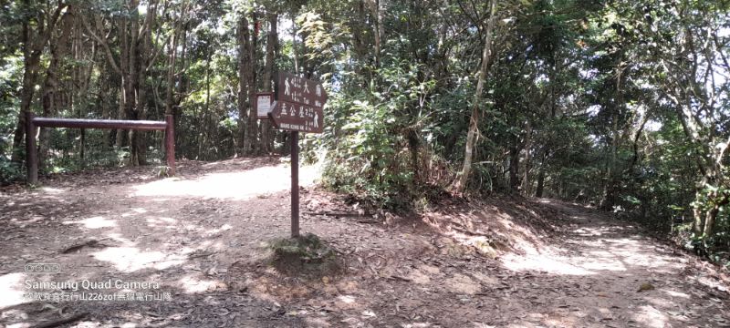 IMG_20220604_41122.jpg