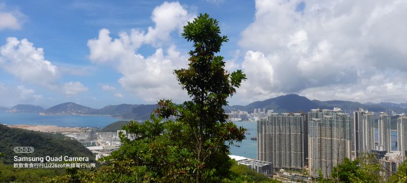 IMG_20220604_40352.jpg