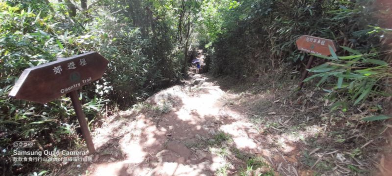IMG_20220604_33215.jpg