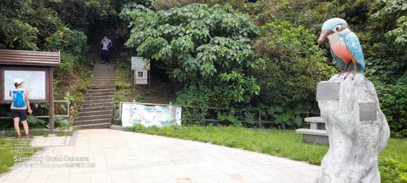 IMG_20220604_3263.jpg
