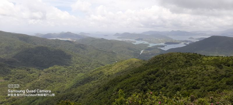 IMG_20220607_18275.jpg