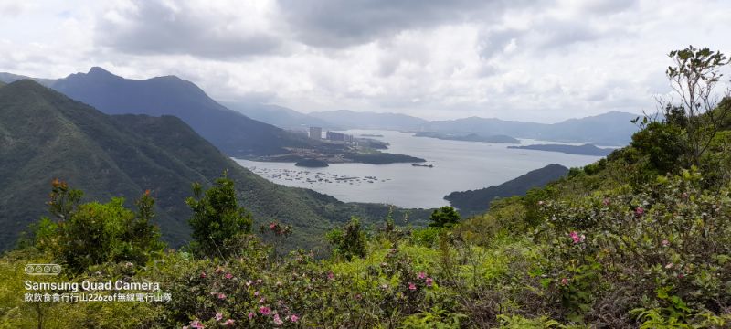 IMG_20220607_15232.jpg