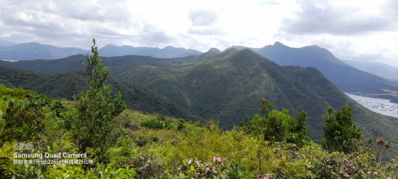 IMG_20220607_14570.jpg