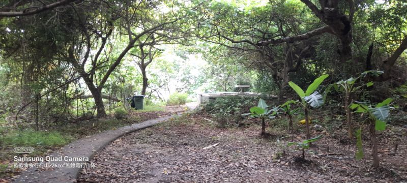 IMG_20220619_11880.jpg