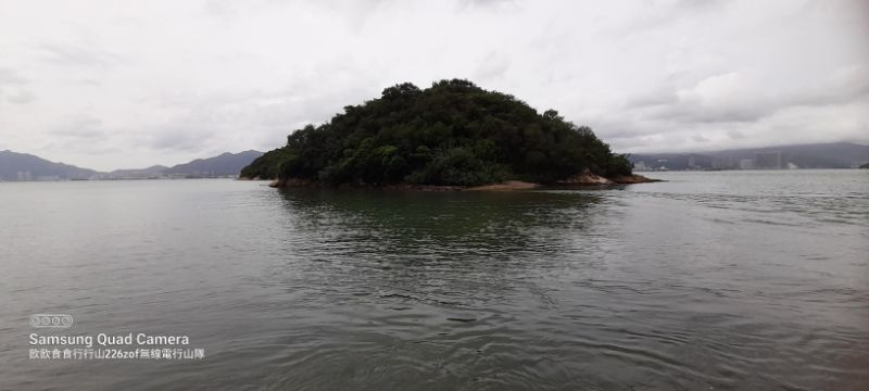 IMG_20220619_15738.jpg
