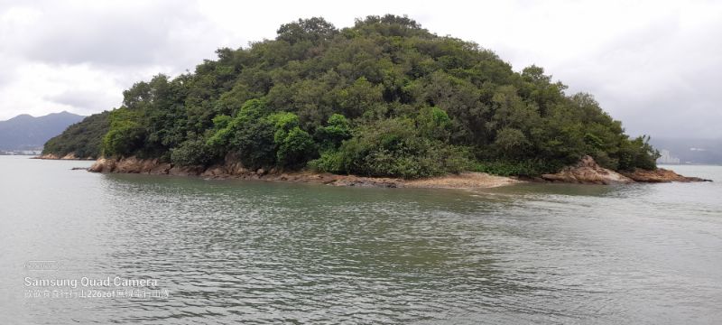 IMG_20220619_16566.jpg