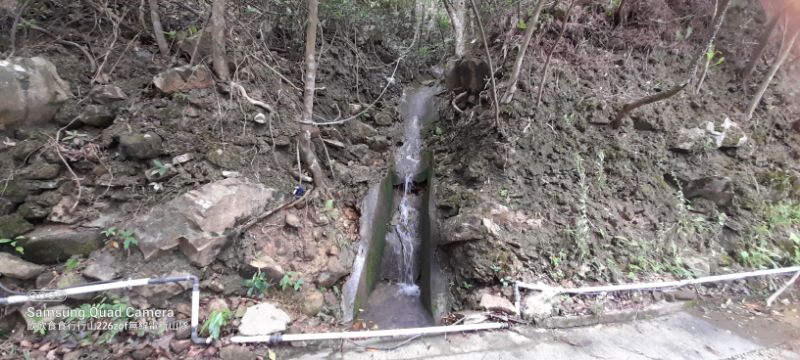 IMG_20220701_2574.jpg