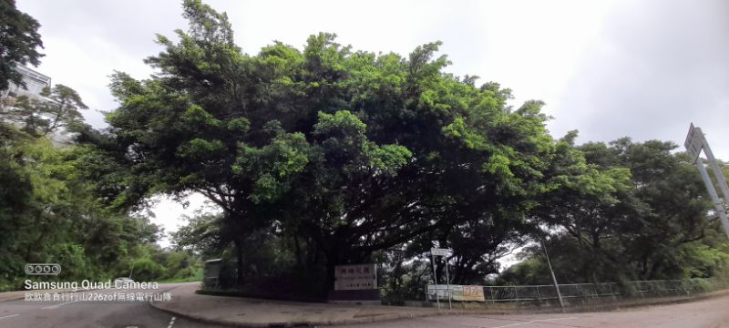 IMG_20220701_20822.jpg