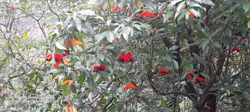 IMG_20220701_16827.jpg