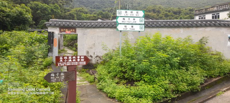IMG_20220702_18391.jpg