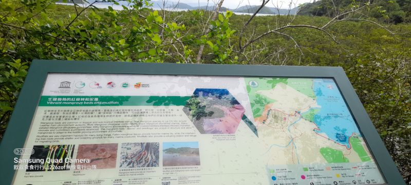 IMG_20220702_13908.jpg