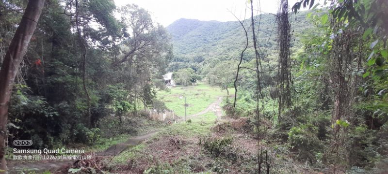IMG_20220702_12453.jpg