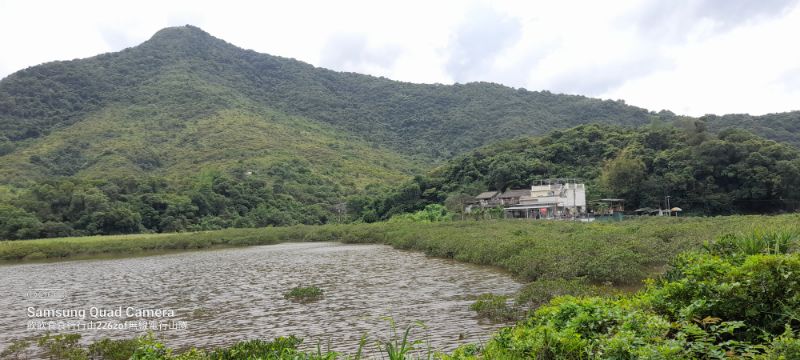 IMG_20220702_10771.jpg