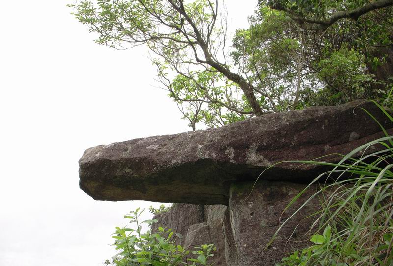 DSCN0193.jpg