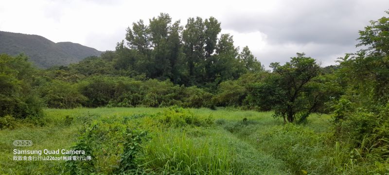 IMG_20220702_7323.jpg