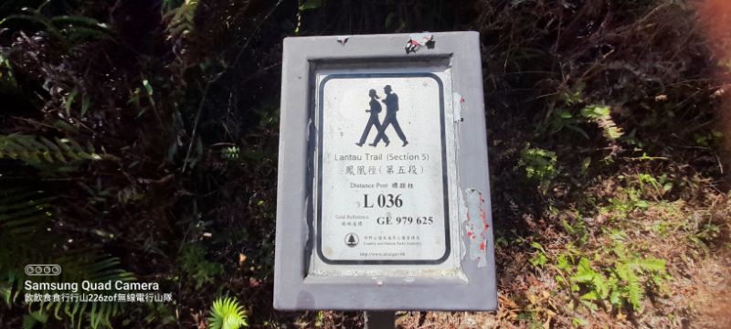 IMG_20220710_30371.jpg