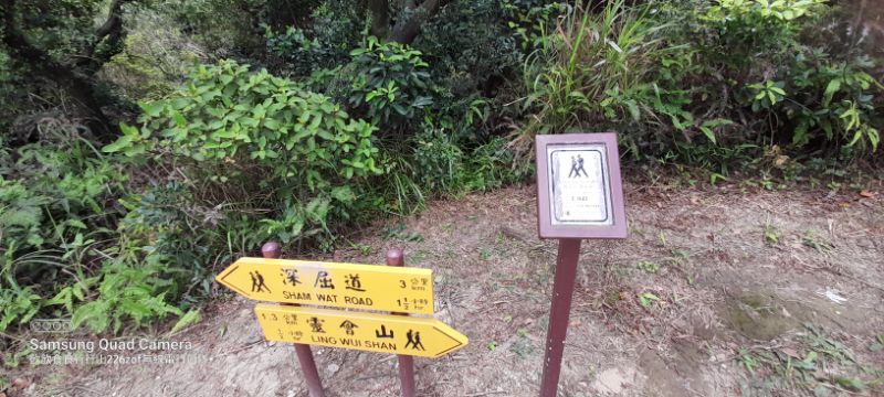 IMG_20220710_18620.jpg