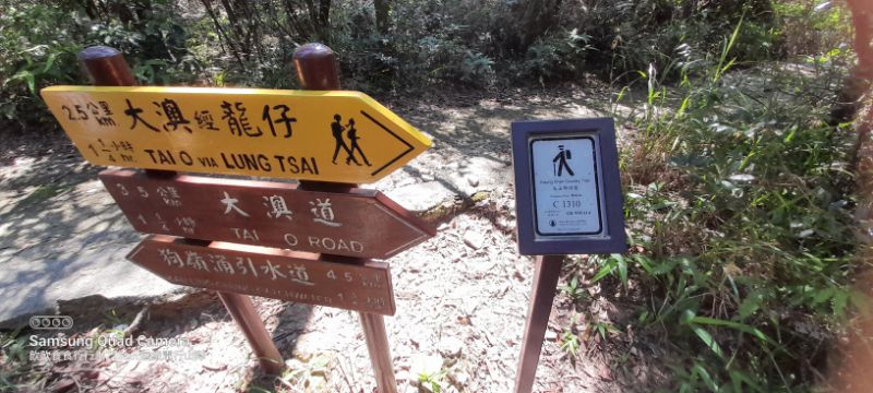IMG_20220710_11207.jpg
