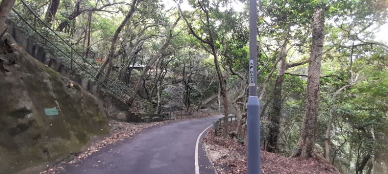 IMG_20220802_59553.jpg
