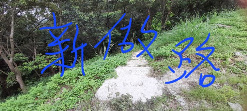 IMG_20220802_56564.jpg