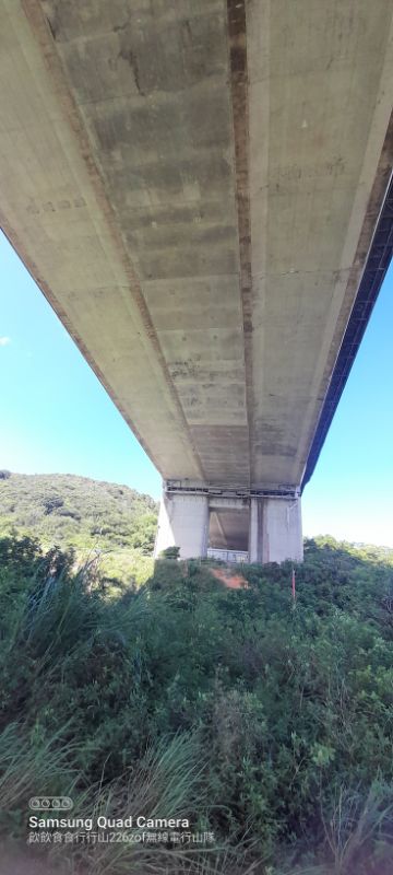 IMG_20220807_53192.jpg