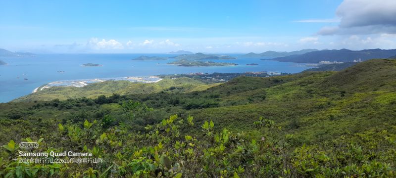 IMG_20220807_57295.jpg