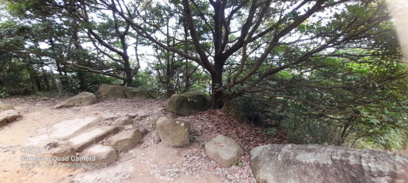 IMG_20220820_50408.jpg