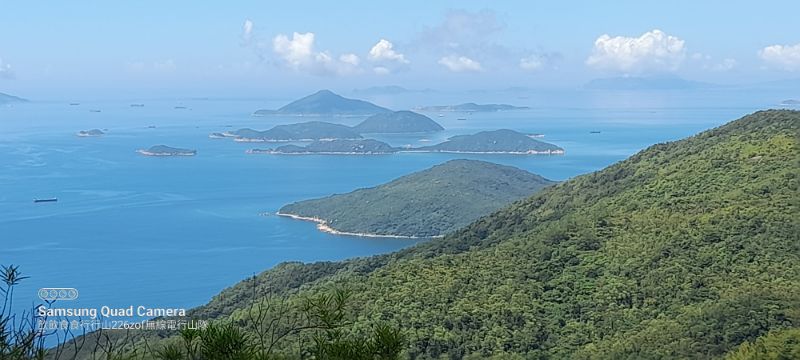 IMG_20220820_49623.jpg